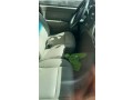 chevrolet-colorado-2008-small-2